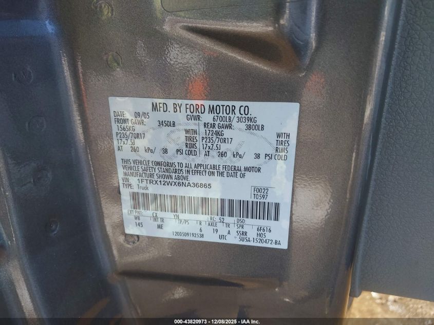 2006 Ford F-150 Stx/Xl/Xlt VIN: 1FTRX12WX6NA36865 Lot: 43820973