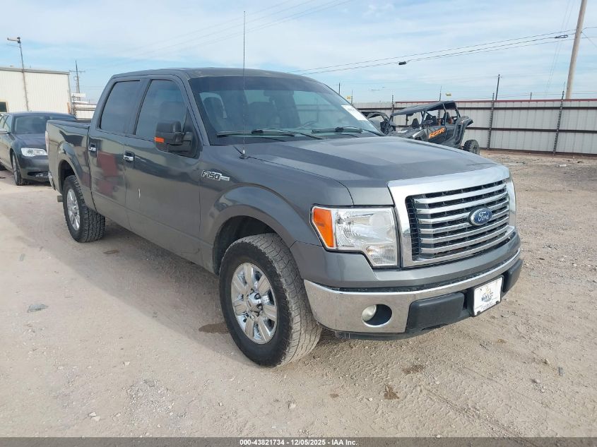 FORD F-150 XLT