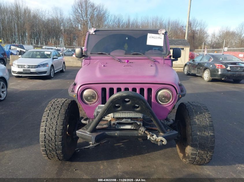 2003 Jeep Wrangler Sport VIN: 1J4FA49S93P364720 Lot: 43822356