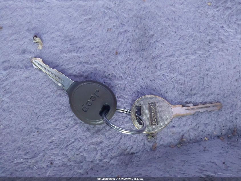 2003 Jeep Wrangler Sport VIN: 1J4FA49S93P364720 Lot: 43822356