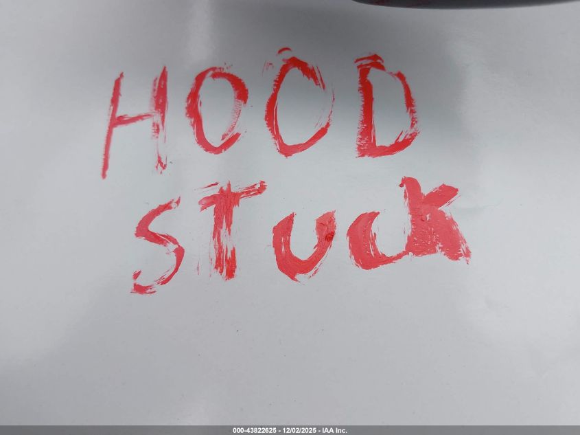 2008 Toyota Camry Xle V6 VIN: 4T1BK46KX8U056384 Lot: 43822625