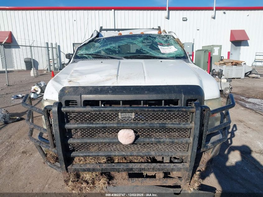 2009 Ford F-250 Fx4/Lariat/Xl/Xlt VIN: 1FTSX21529EA21779 Lot: 43822747