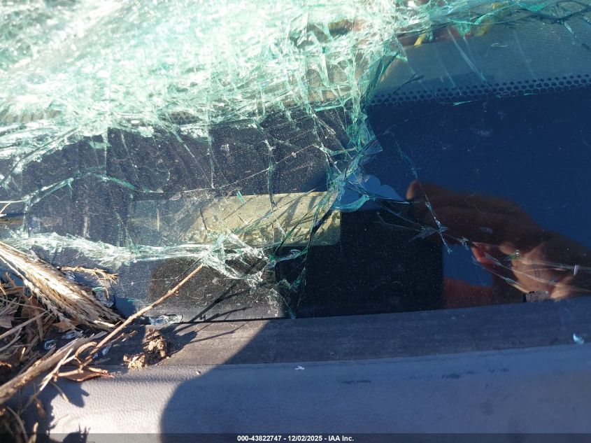 2009 Ford F-250 Fx4/Lariat/Xl/Xlt VIN: 1FTSX21529EA21779 Lot: 43822747