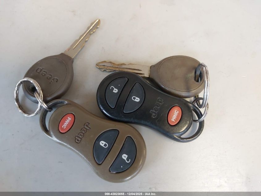 2004 Jeep Grand Cherokee Laredo VIN: 1J4GW48S24C235492 Lot: 43823055