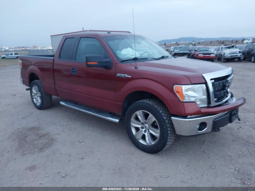 FORD F-150 XLT