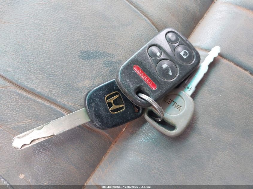 2004 Honda Odyssey Ex-L VIN: 5FNRL18014B121667 Lot: 43823364