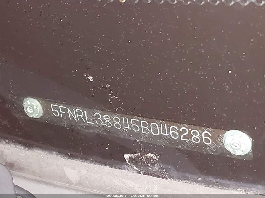 2005 Honda Odyssey Touring VIN: 5FNRL38845B046286 Lot: 43823412