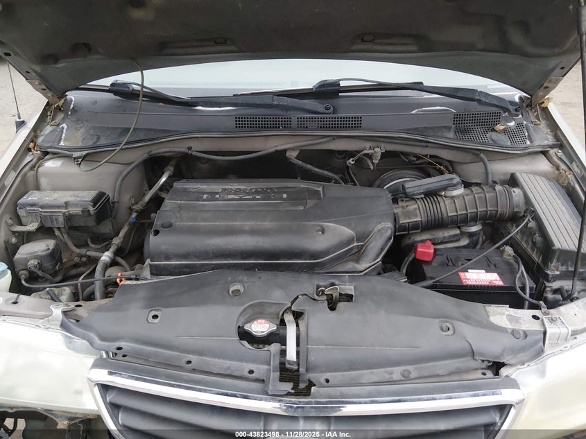 2004 Honda Odyssey Ex VIN: 5FNRL18884B116827 Lot: 43823498