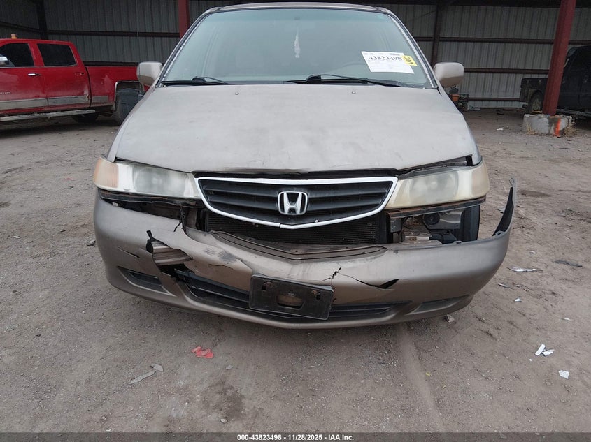 2004 Honda Odyssey Ex VIN: 5FNRL18884B116827 Lot: 43823498