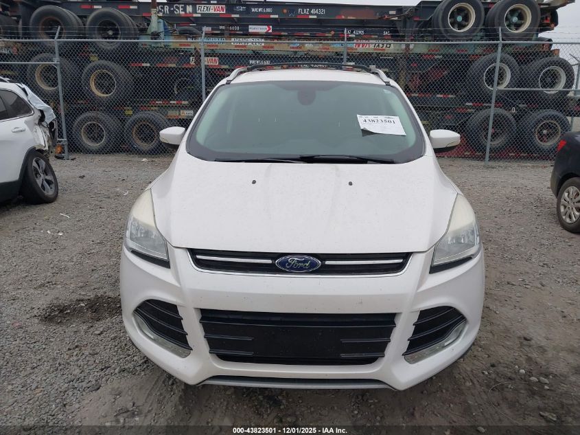 2014 Ford Escape Titanium VIN: 1FMCU0J99EUA03196 Lot: 43823501