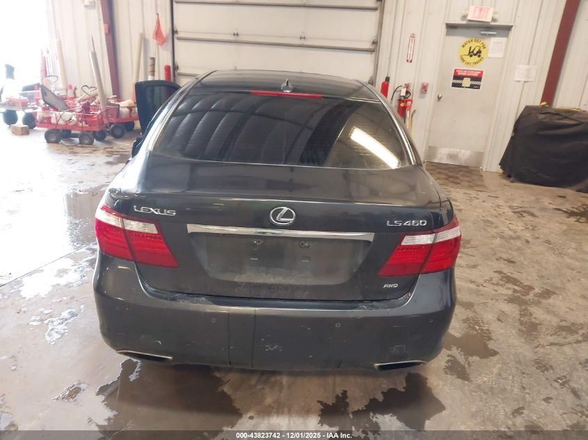 2009 Lexus Ls 460 VIN: JTHCL46F395000810 Lot: 43823742