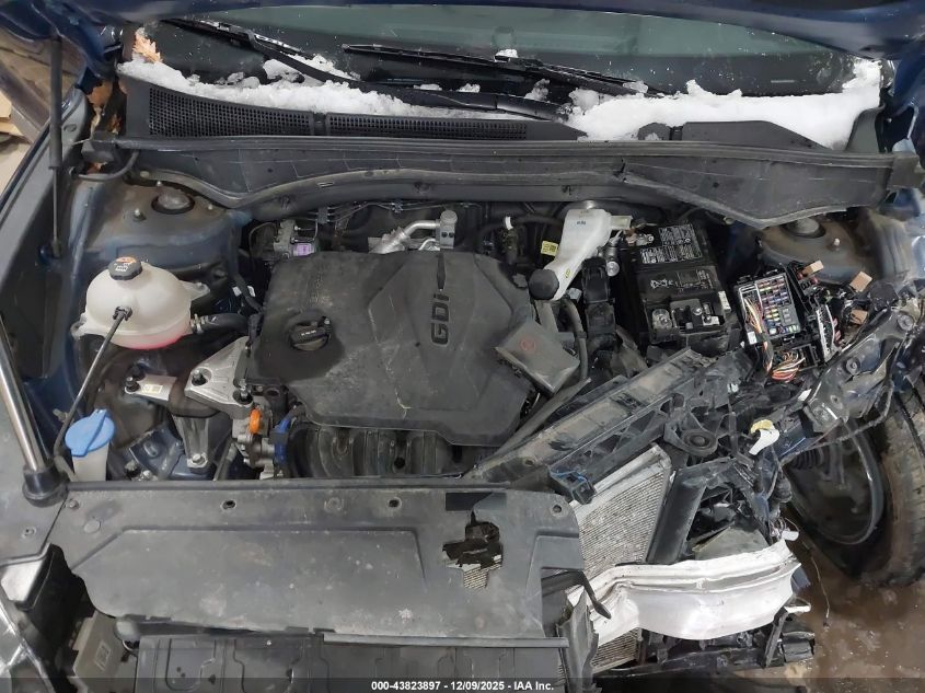 2023 Hyundai Santa Fe Sel VIN: 5NMS3DAJ9PH551021 Lot: 43823897