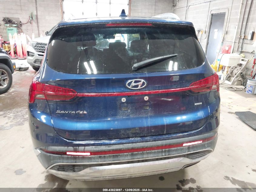 2023 Hyundai Santa Fe Sel VIN: 5NMS3DAJ9PH551021 Lot: 43823897