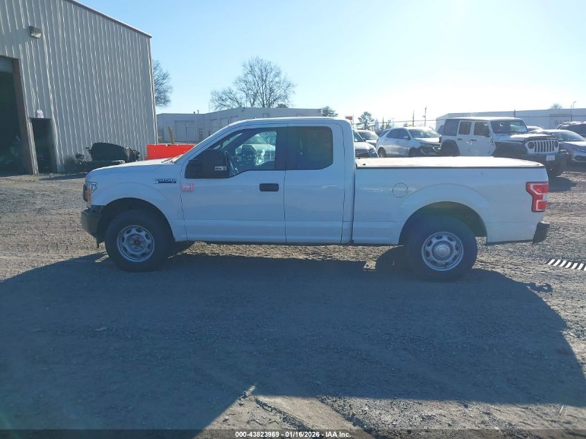 2020 Ford F-150 Xl VIN: 1FTEX1EP3LFB71260 Lot: 43823969