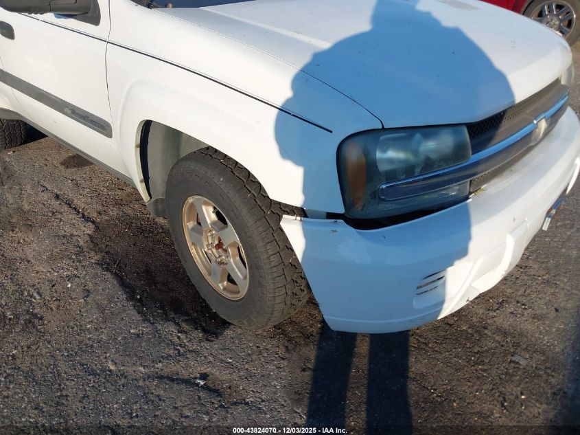 2004 Chevrolet Trailblazer Ls VIN: 1GNDT13S742398787 Lot: 43824070