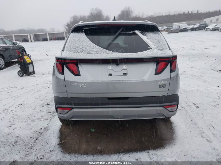 2025 Hyundai Tucson Hybrid Blue VIN: KM8JBDD13SU342302 Lot: 43824081