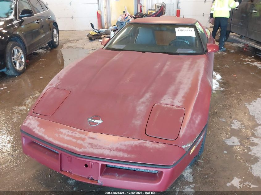 1989 Chevrolet Corvette VIN: 1G1YY2180K5121556 Lot: 43824424
