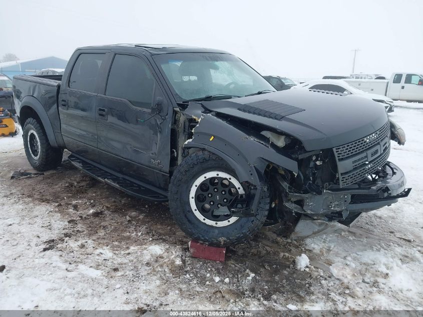 FORD F-150 SVT RAPTOR