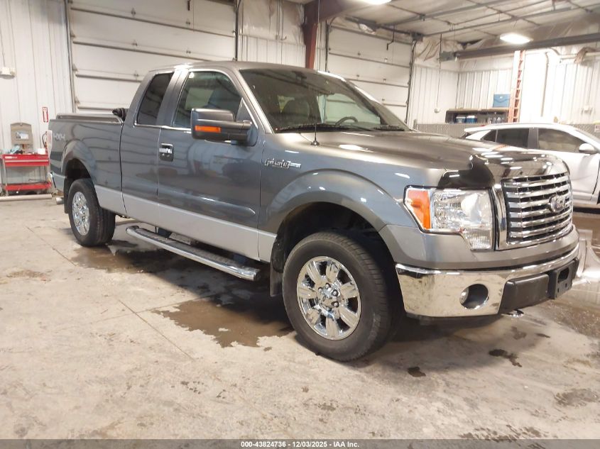 FORD F-150 XLT