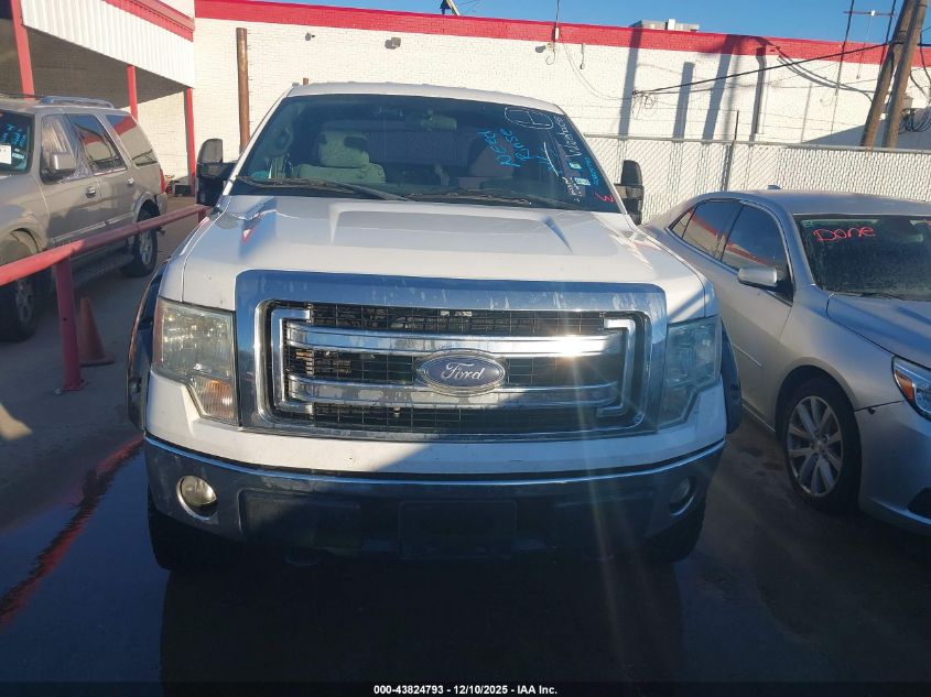 2013 Ford F-150 Xlt VIN: 1FTFX1EF2DFC88924 Lot: 43824793