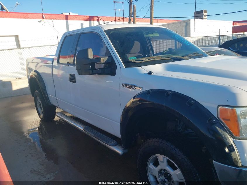 2013 Ford F-150 Xlt VIN: 1FTFX1EF2DFC88924 Lot: 43824793