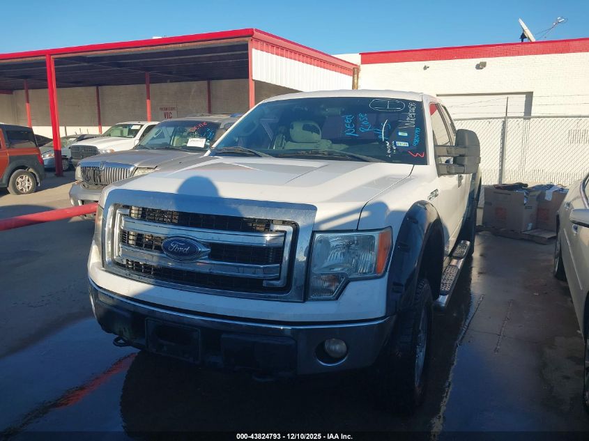 2013 Ford F-150 Xlt VIN: 1FTFX1EF2DFC88924 Lot: 43824793