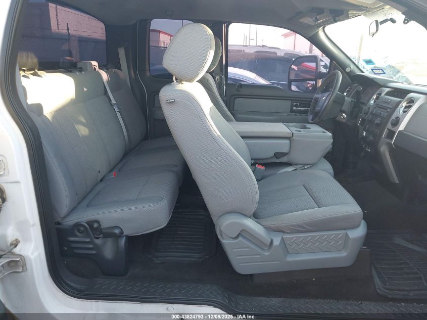 2013 Ford F-150 Xlt VIN: 1FTFX1EF2DFC88924 Lot: 43824793