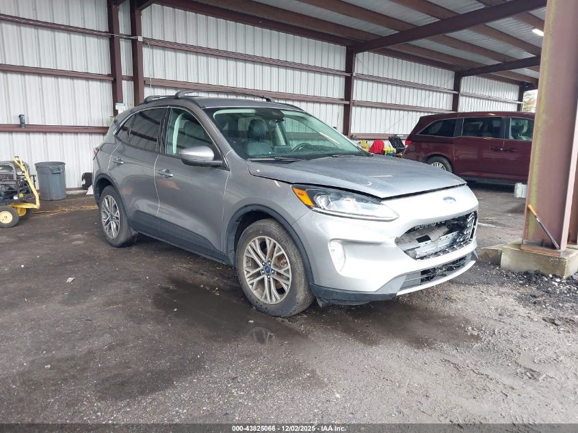 FORD ESCAPE SEL