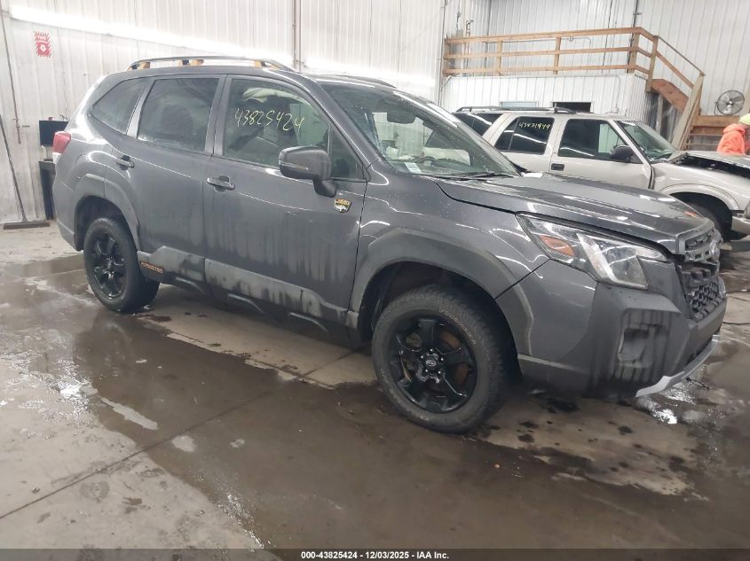 SUBARU FORESTER WILDERNESS