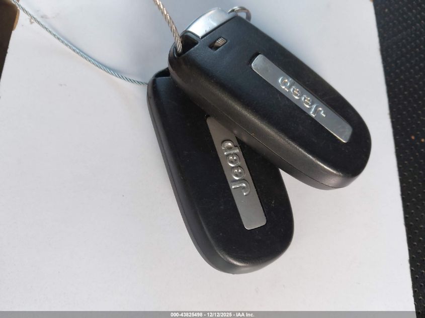 2021 Jeep Cherokee Limited 4X4 VIN: 1C4PJMDX8MD168199 Lot: 43825498