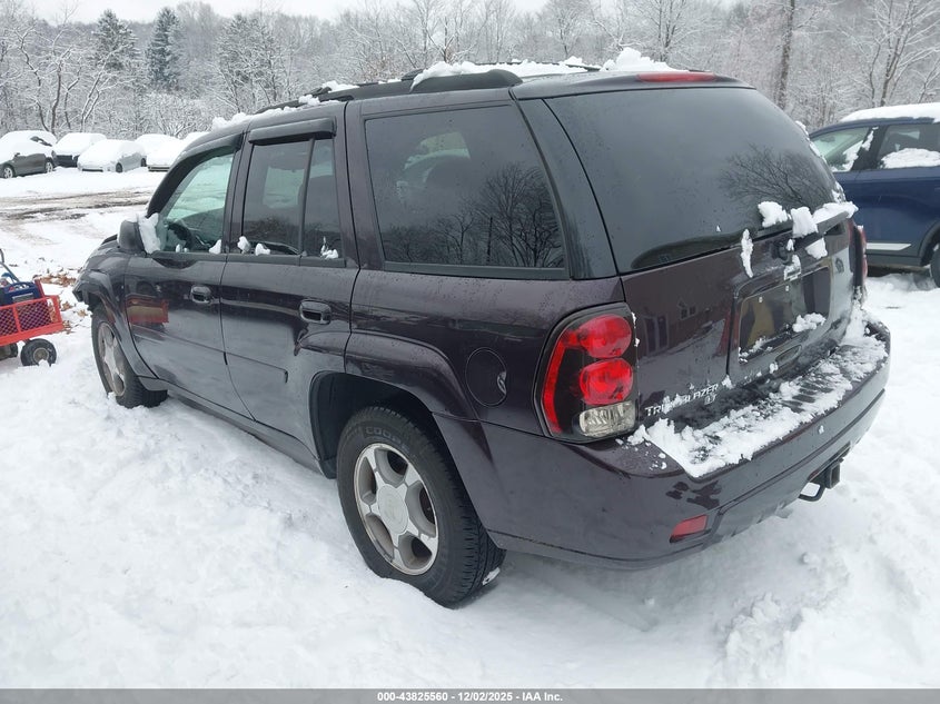 1GNDT13S882219808 2008 CHEVROLET TRAILBLAZER photo no. 3