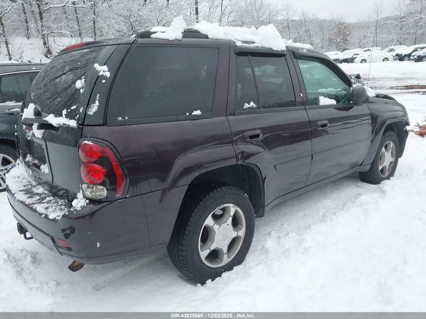 1GNDT13S882219808 2008 CHEVROLET TRAILBLAZER photo no. 4