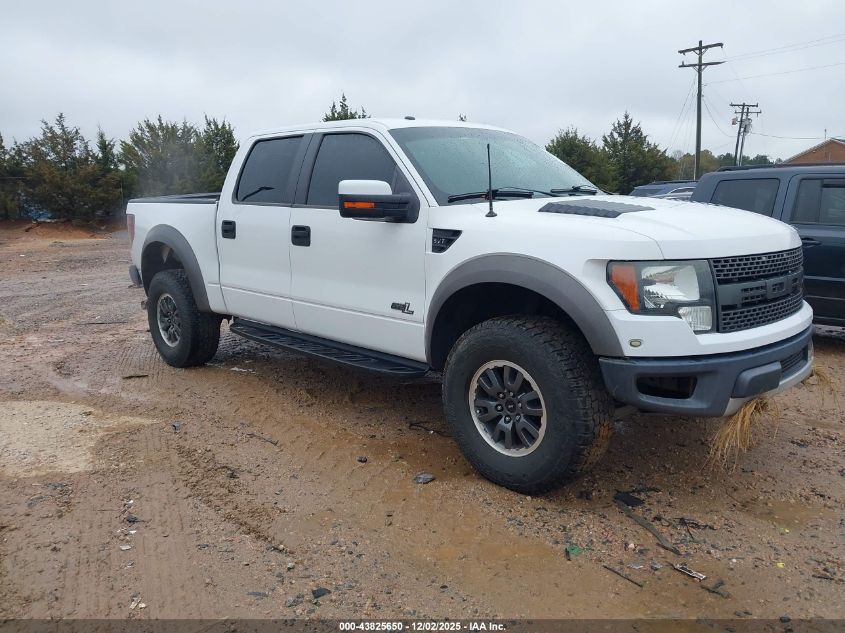 FORD F-150 SVT RAPTOR