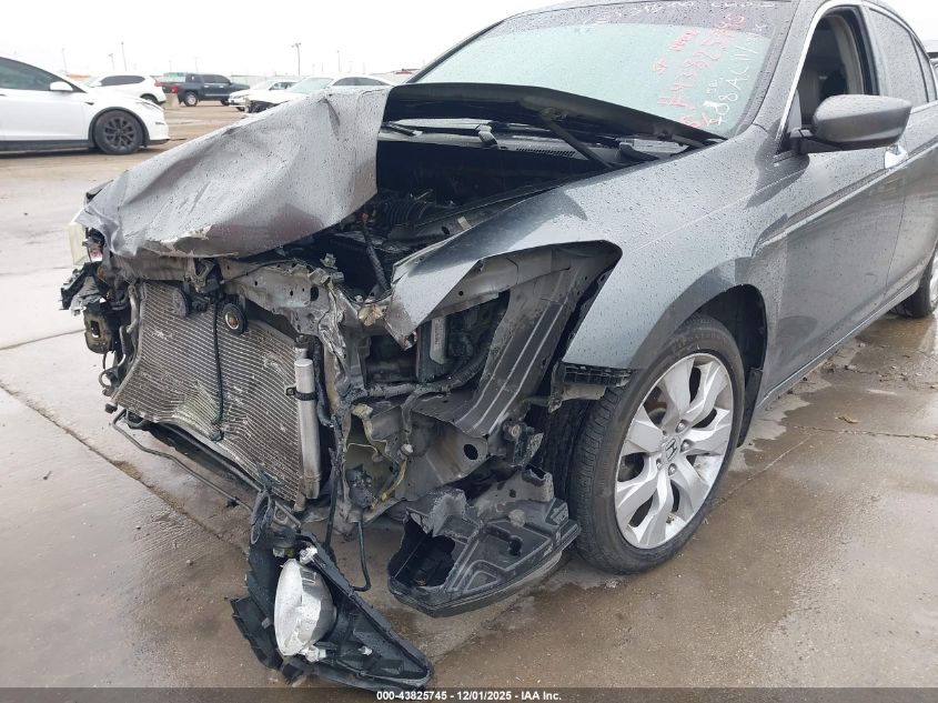 2008 Honda Accord VIN: 1HGCT36858A042453 Lot: 43825745