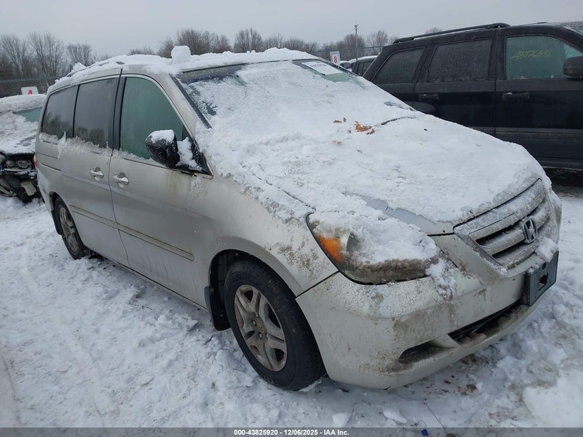 5FNRL38477B420518 2007 Honda Odyssey Ex auction photo 1