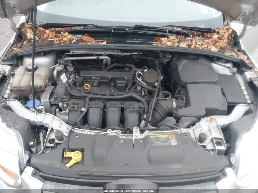 1FADP3F21DL246878 2013 FORD FOCUS photo no. 10