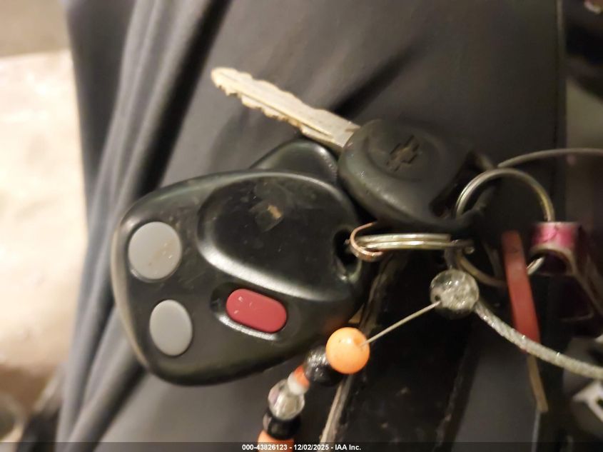 2004 Chevrolet Silverado 1500 Ls VIN: 2GCEC19T741166557 Lot: 43826123