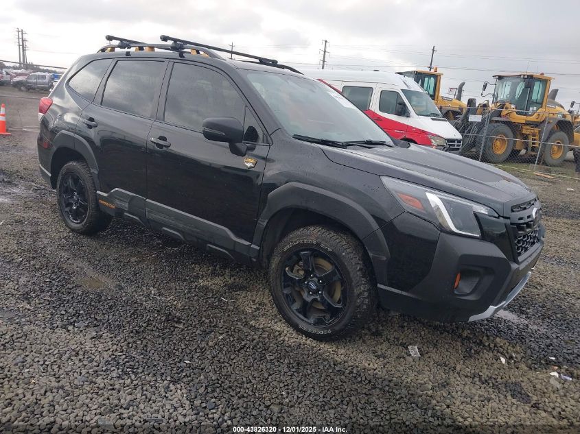 SUBARU FORESTER WILDERNESS