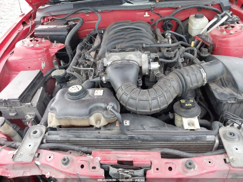 2005 Ford Mustang Gt VIN: 1ZVFT85H555242238 Lot: 43826396