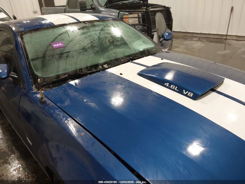 2008 Ford Mustang Gt Deluxe/Gt Premium VIN: 1ZVHT82H485155187 Lot: 43828195