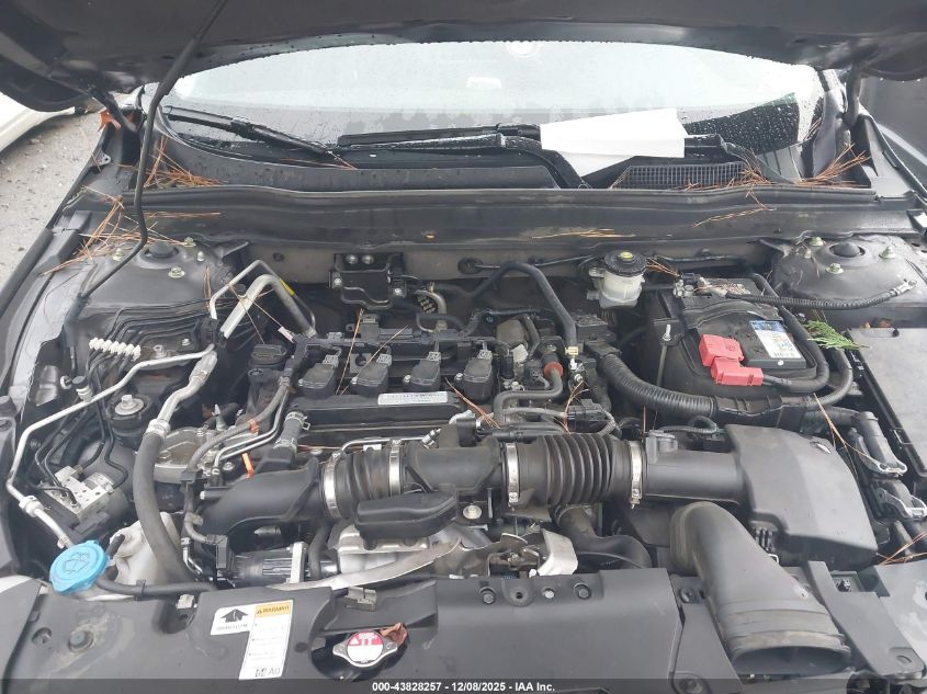 2020 Honda Accord Ex-L VIN: 1HGCV1F59LA092085 Lot: 43828257