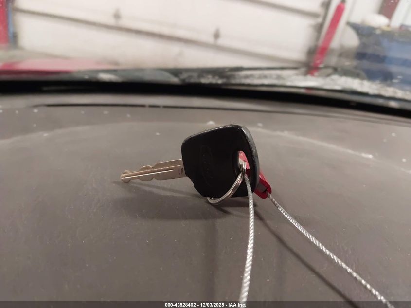 2003 Ford Focus Svt/Zx5 VIN: 3FAHP37503R135250 Lot: 43828402