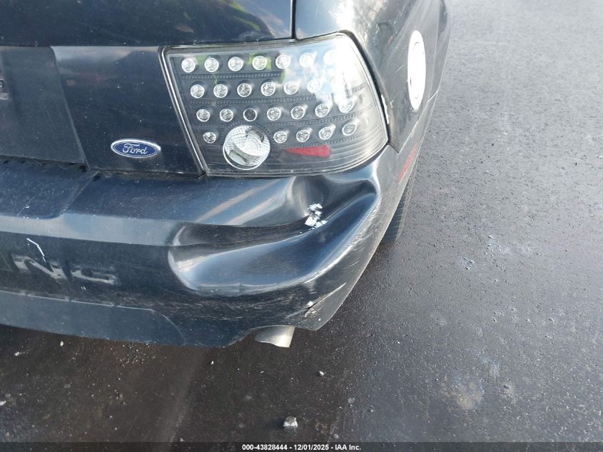 2002 Ford Mustang Gt VIN: 1FAFP45X02F206346 Lot: 43828444