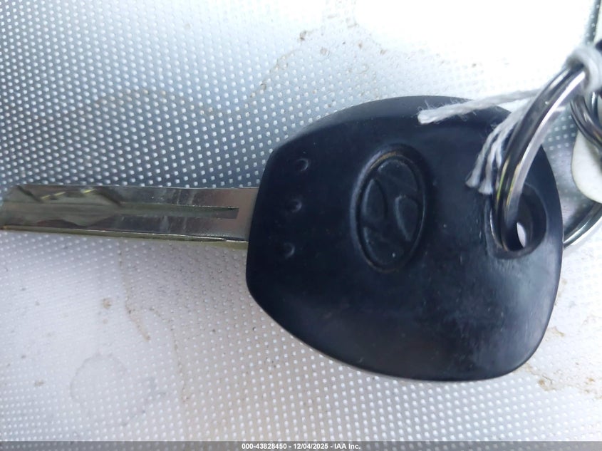 KMHFC46F46A047860 2006 HYUNDAI AZERA photo no. 11