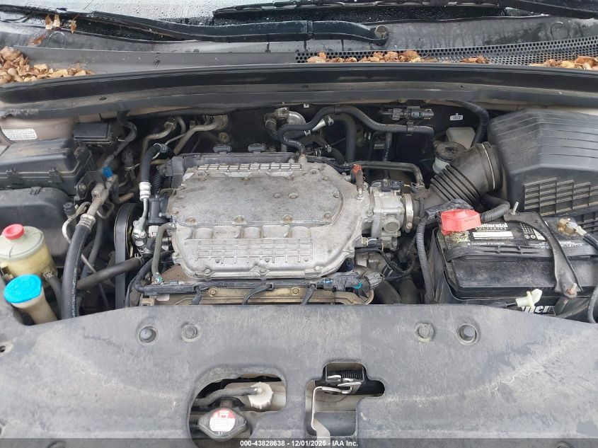 2006 Honda Odyssey Touring VIN: 5FNRL38896B007369 Lot: 43828638