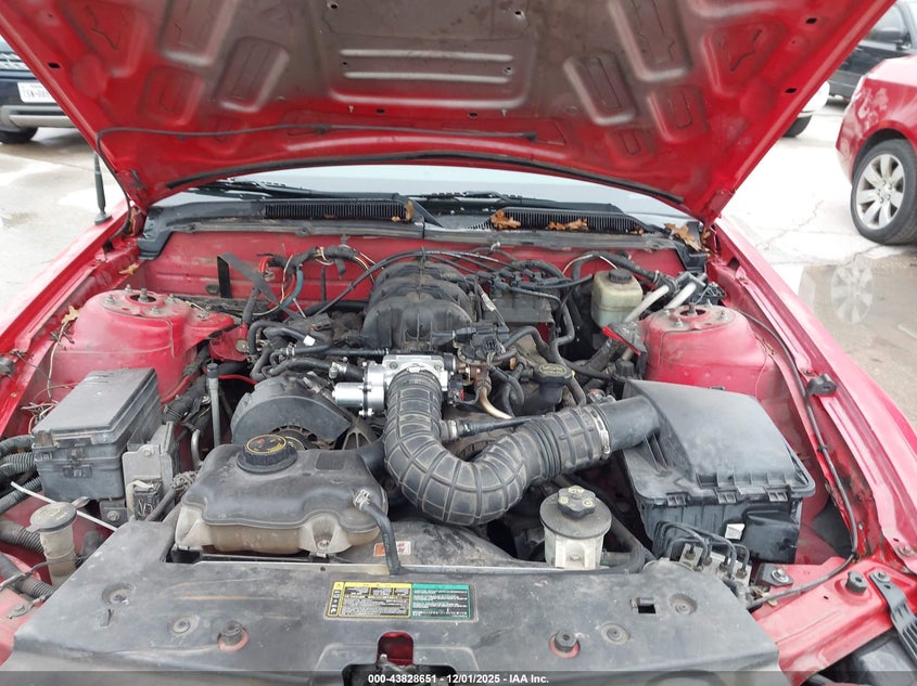 1ZVFT80N755148570 2005 FORD MUSTANG photo no. 10