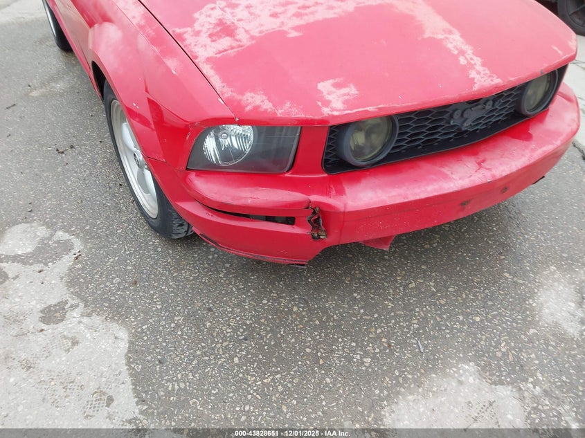 1ZVFT80N755148570 2005 FORD MUSTANG photo no. 6