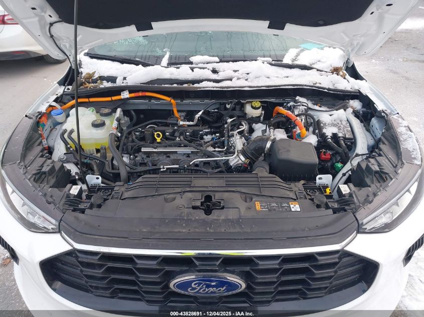 2024 Ford Escape St-Line VIN: 1FMCU0MZ3RUB23416 Lot: 43828691