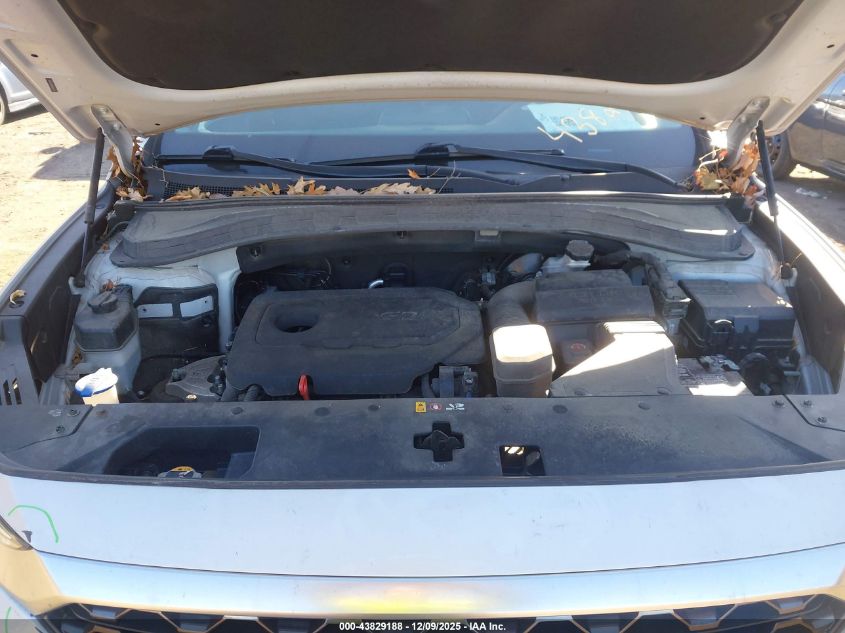 2019 Hyundai Santa Fe Se VIN: 5NMS2CAD5KH093428 Lot: 43829188