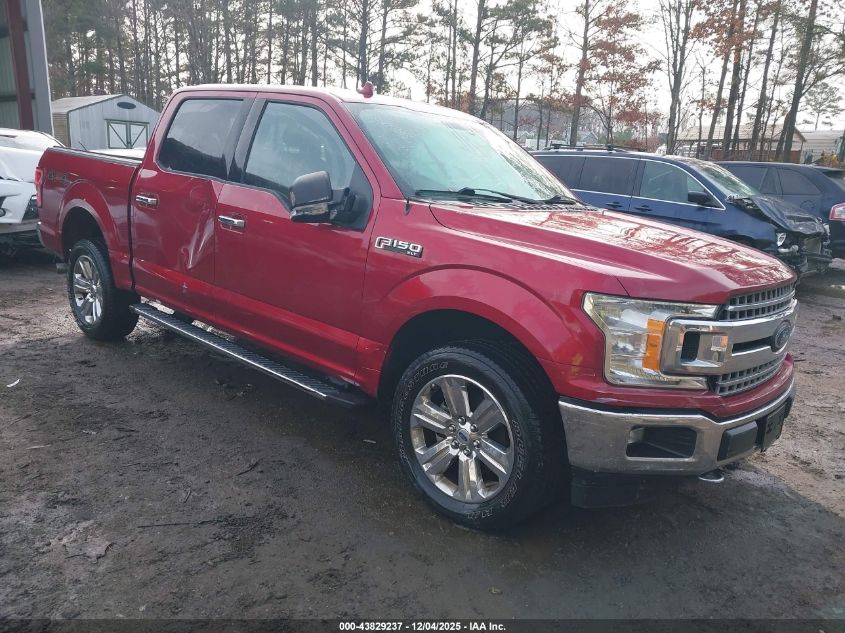 FORD F-150 XLT